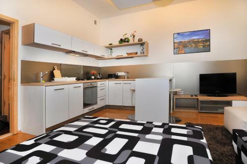 Apartment Eli?ky Kr�snohorsk�