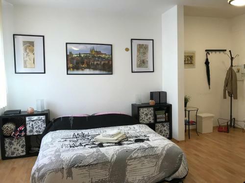 Apartamento Studio Zuzana