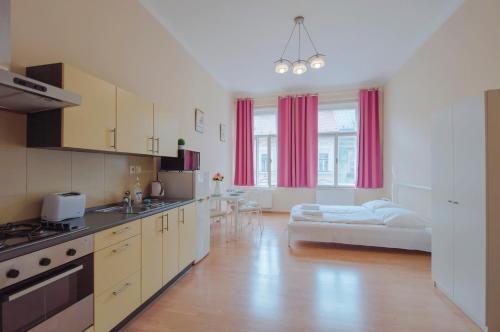 Modern Apartment Wenzigova 13