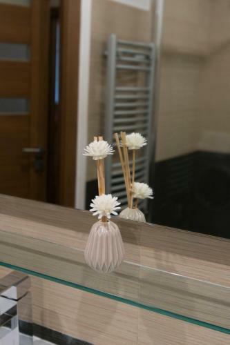 Spacious Apartment Near Wenceslas Square