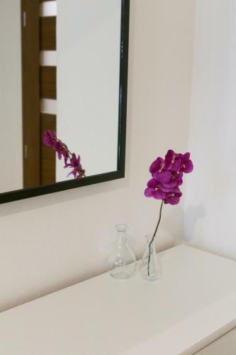 Spacious Apartment Near Wenceslas Square
