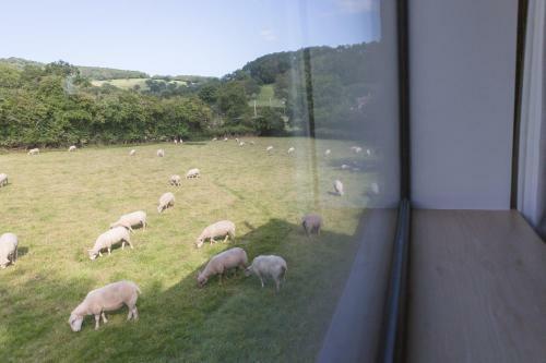 Hayloft
