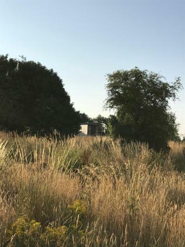 Agroturismo Wellbank Shepherds Hut