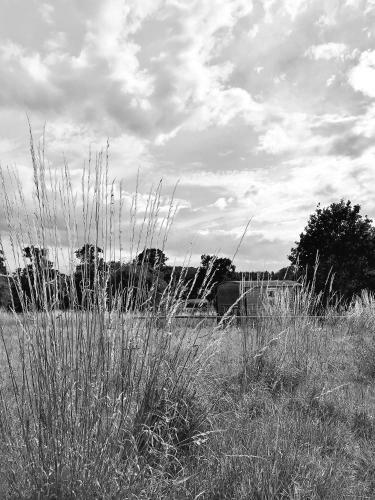 Agroturismo Wellbank Shepherds Hut