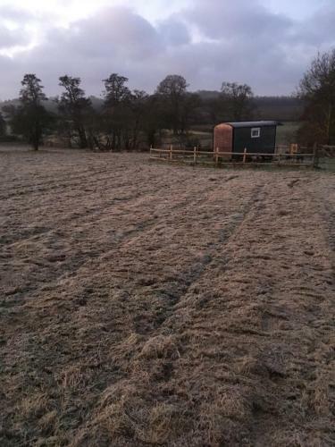 Agroturismo Wellbank Shepherds Hut