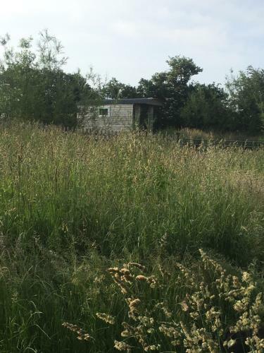 Agroturismo Wellbank Shepherds Hut