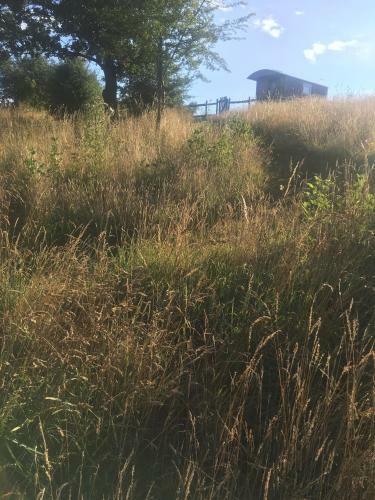 Agroturismo Wellbank Shepherds Hut