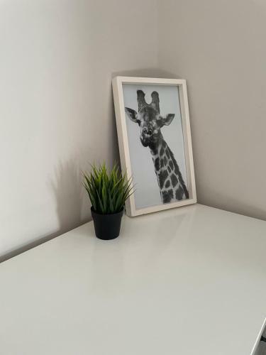 The Corner House - Modern Chesterfield Town Centre Apartments