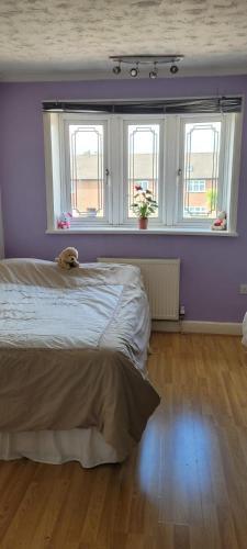 Bed & Breakfast North Close