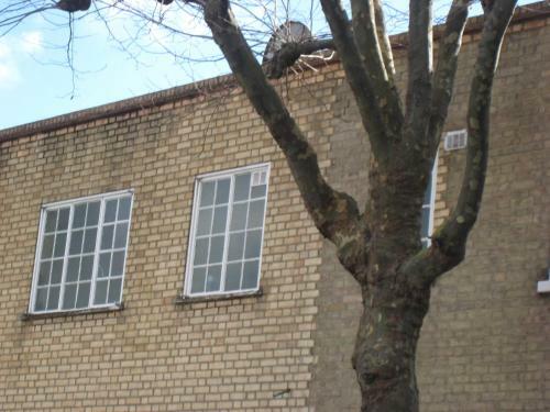Apartamento Aapartment Wilson Chesterfield