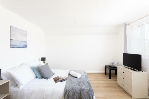 The New Greyhound Cottage