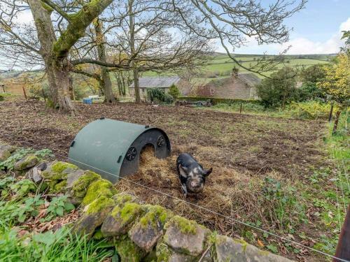 Willow Cottage At Naze Farm-uk32760
