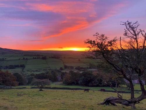 Willow Cottage At Naze Farm-uk32760