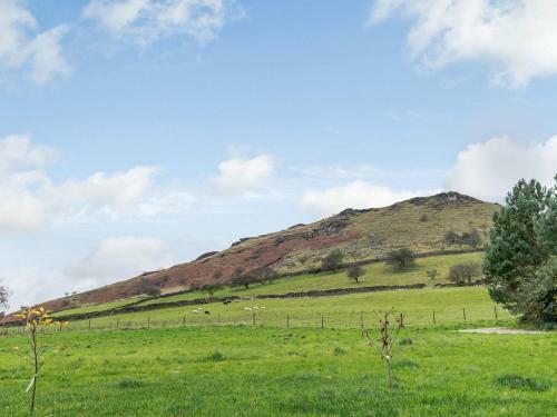Willow Cottage At Naze Farm-uk32760