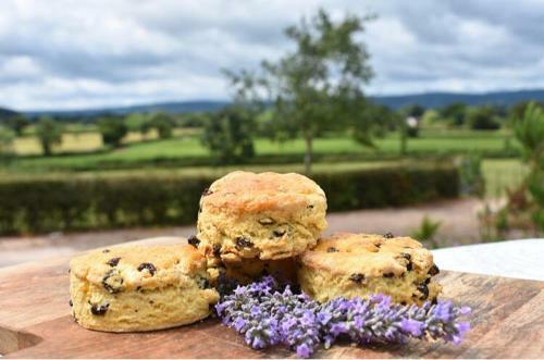 Bed & Breakfast Higher Biddacott Farm