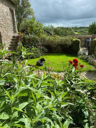 Bed & Breakfast Higher Biddacott Farm