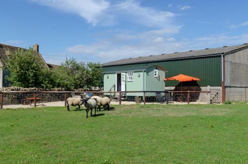Apartamento Shepherds Hut On A Cotswold Farm Near Castle Combe