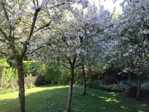 Apartamento Upper Court Barn