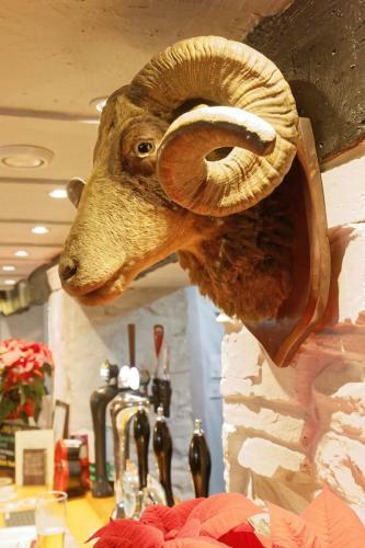 Posada Rams Head Inn