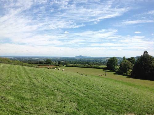 Lawley View