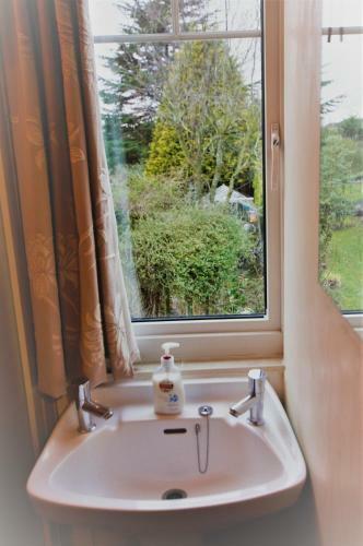 Bed & Breakfast Dove House