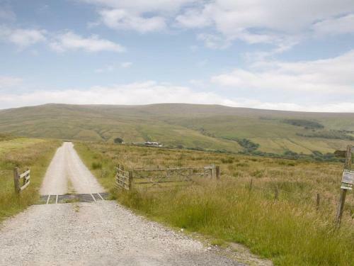Hen Harrier Cottage - Uk12310