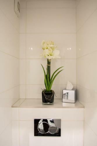 Most Central Luxury Apartment In Chester!