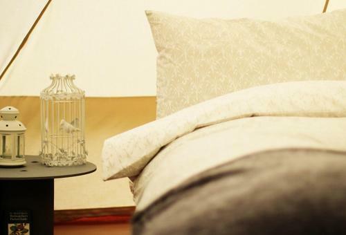 Lloyds Meadow Glamping