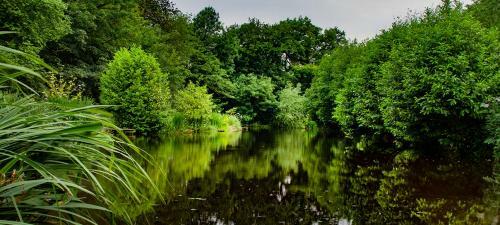 Lloyds Meadow Glamping