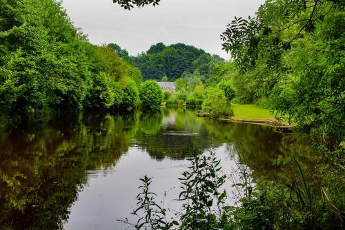 Lloyds Meadow Glamping