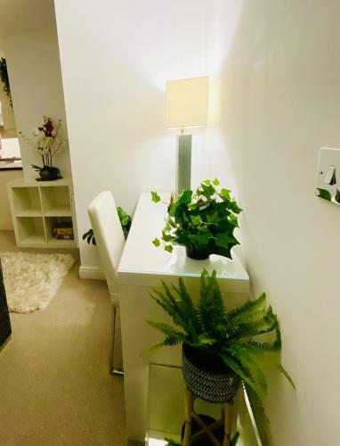 City Centre Chester Waterways Apartment