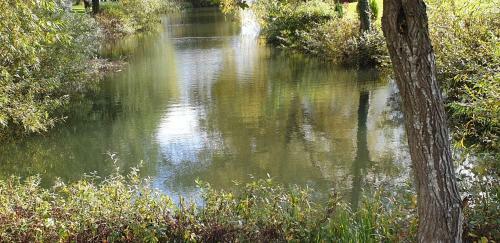 Waters Edge