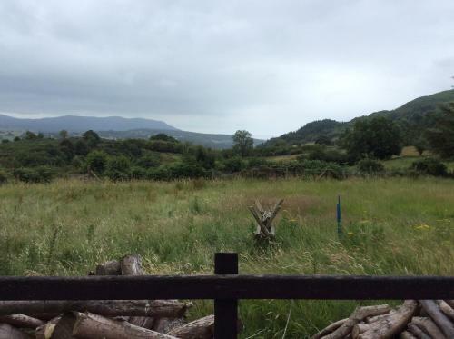 Bar View House