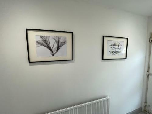 Apartamento Ed Executive Colchester Accommodation
