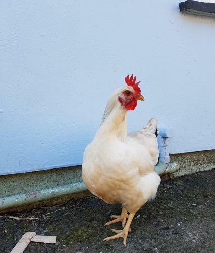 Yetland Farm Holiday Cottages
