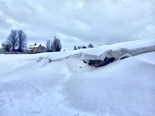 Hall Farm Bed & Breakfast