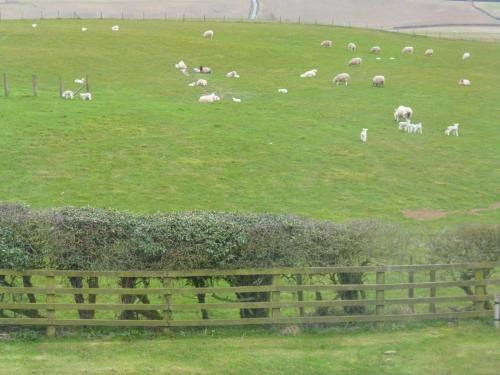Hall Farm Bed & Breakfast