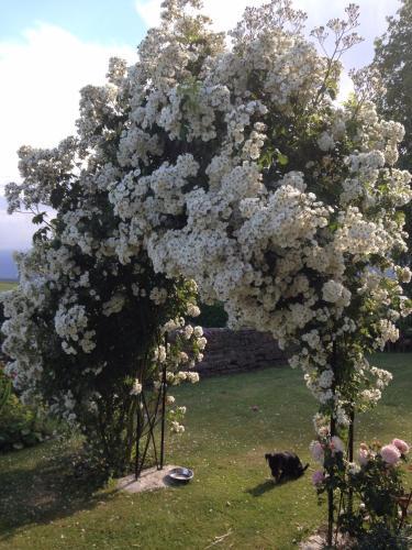 Hall Farm Bed & Breakfast