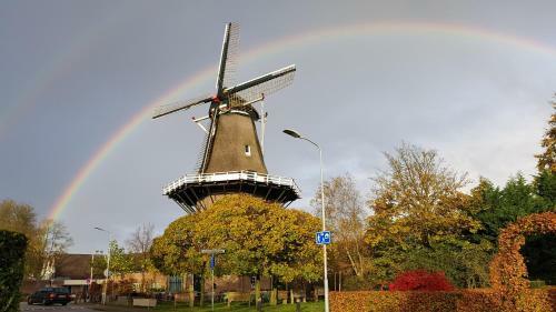 Dennenhuis