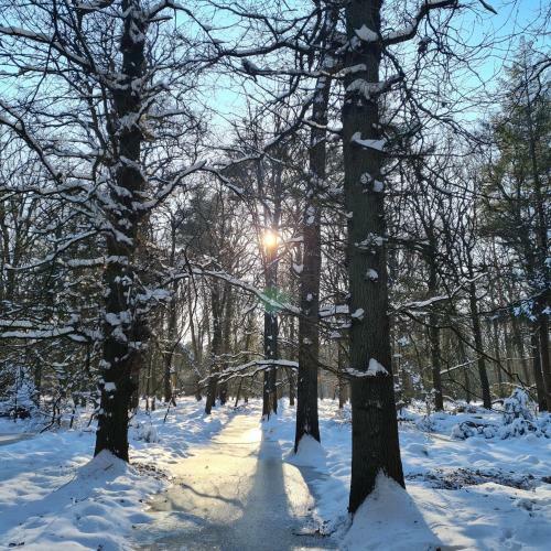 B&B Helene Hoeve