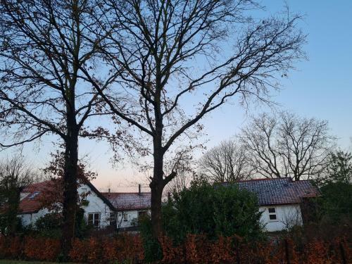 B&B Helene Hoeve
