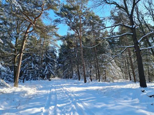 B&B Helene Hoeve