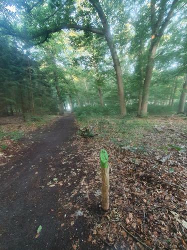 B&B Helene Hoeve