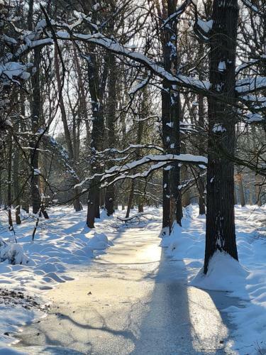 B&B Helene Hoeve