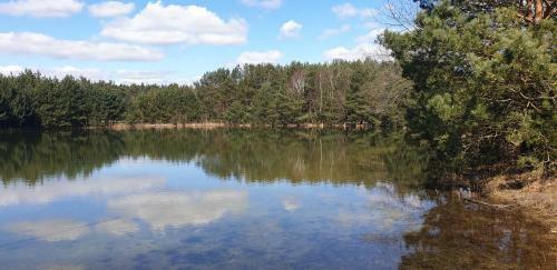 B&B Helene Hoeve