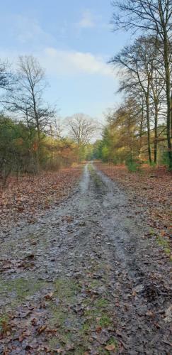 B&B Helene Hoeve