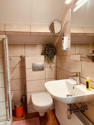 B&B Eleganza Sibbe