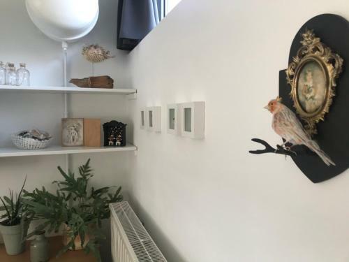 Hostal De Vlies