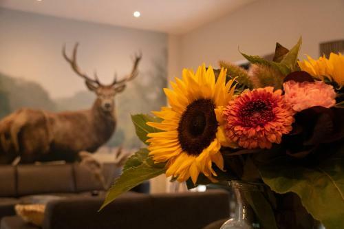 Apartamento Villa Woudstee