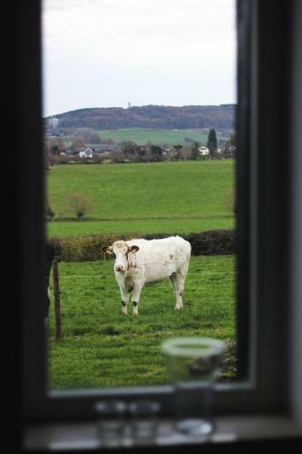 Hoeve "doodleger"